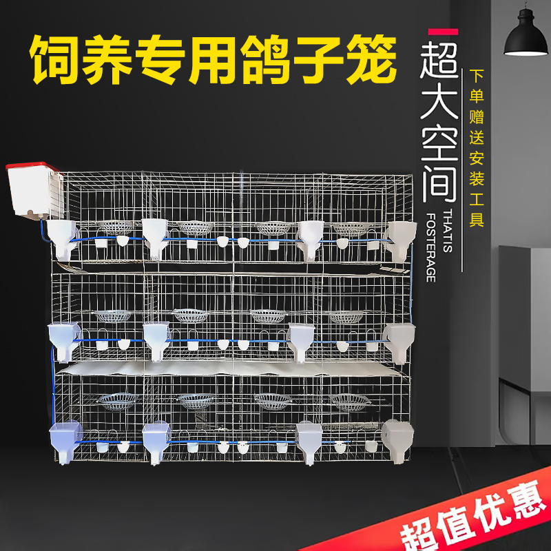 鸽子配对笼养殖繁殖笼12位16位肉鸽家用室外鸽舍专用组装鸽笼加粗
