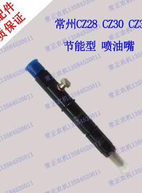 常州CZ28 ZS1125 CZ1130 CZ32节能型单缸水冷柴油机喷油嘴 农机件