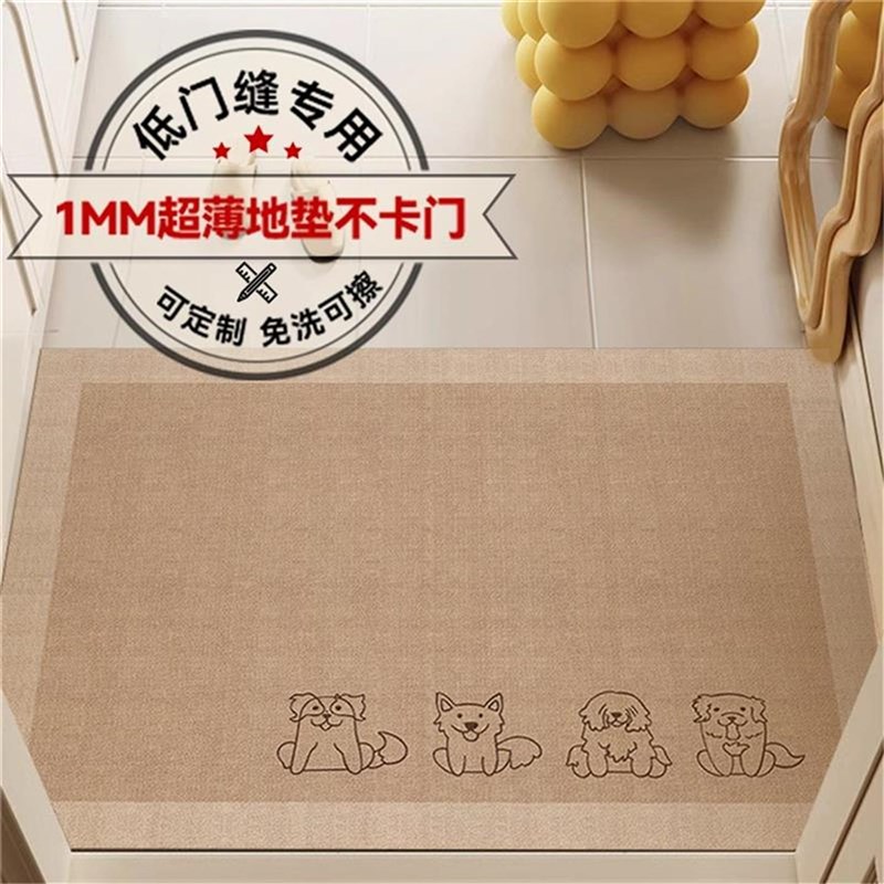 超薄1mm入户门地m垫现代简约进门门口不卡门门垫家用免洗防滑地毯