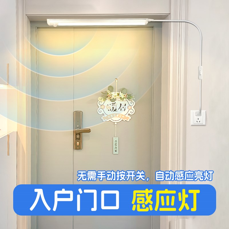 入户门感应灯插电式人来即亮人z走即灭玄关迎宾进门门口氛围小夜