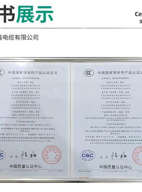 家RVVM/VV护套用线2*1.52.5/4平方白色软护套线双电芯控制缆电线