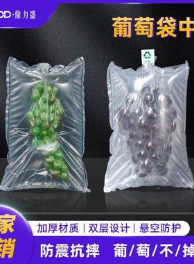 西FSX瓜气柱袋巨袋峰葡萄中羊角袋蜜包装袋荔枝充气阳光袋玫瑰专
