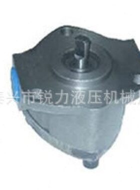 BRB-1BRB-2BRB-3BRB-6摆线齿轮油泵油泵机床润滑泵