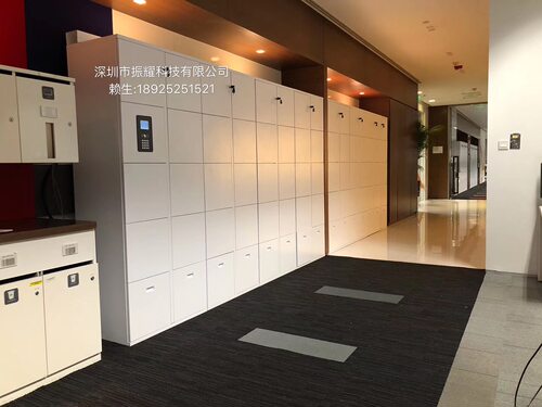 振耀直销 智能储物柜 超市电子寄存柜 存包柜价格 智能储物柜方案