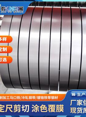 现货马口铁分条卷料钢带镀锡铁SPTE电镀锡薄钢板 裁片镀锡铁卷料
