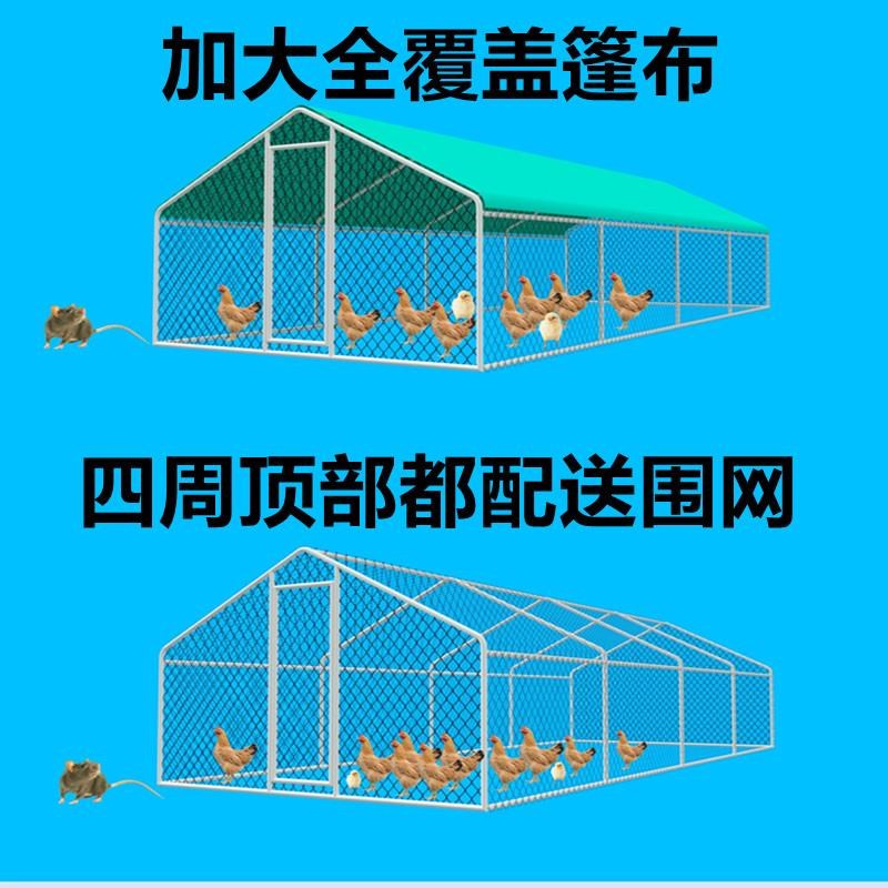 大型养殖鸡棚户外防雨棚兔笼鸽棚养殖大棚户外鸡鸭鹅养殖专用大棚