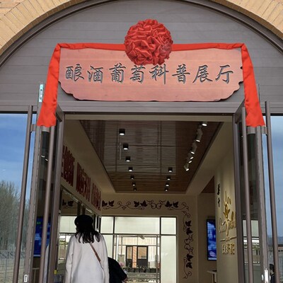 新款揭幕红布招牌开业花球套餐公司开业背景墙牌匾揭牌仪式揭幕布