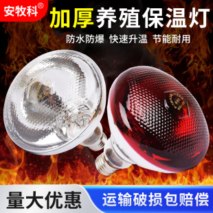 保温灯养殖场专用加厚防水防爆保暖灯仔猪小鸡育雏取暖灯加热烤灯