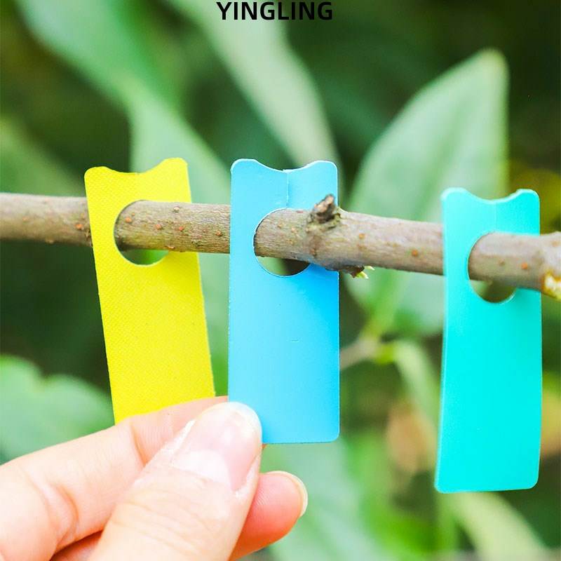 标签牌园艺插牌花卉吊牌植物标签葡萄记号牌葡萄标记卡瓜果标记牌