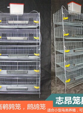 鹌鹑笼鹧鸪笼加高25cm层高立式鹌鹑笼鹧鸪笼可自U动清粪多层养殖