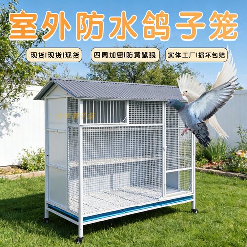 室外镀锌鸽子笼防雨加大加高养鸽笼只进不出带飞口可移动鸡鸭鹅笼