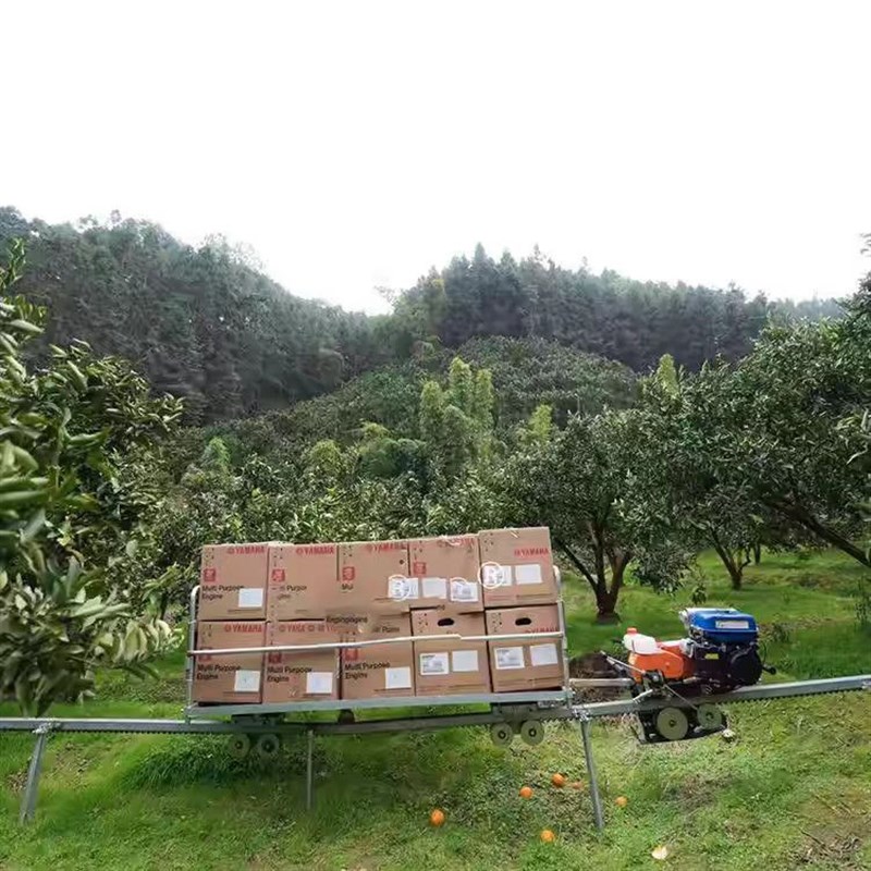 山地果园单轨运输车汽油自走式农用爬坡载货搬运轨道运输小火工厂