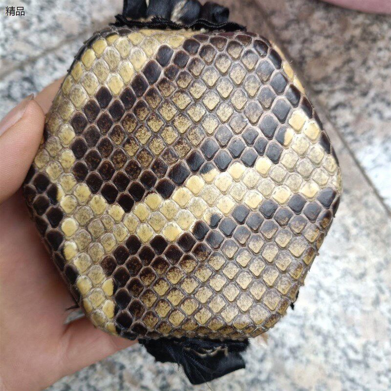 蒙二胡的蟒蛇皮脊背皮成型L二胡皮子金花蟒蛇图片