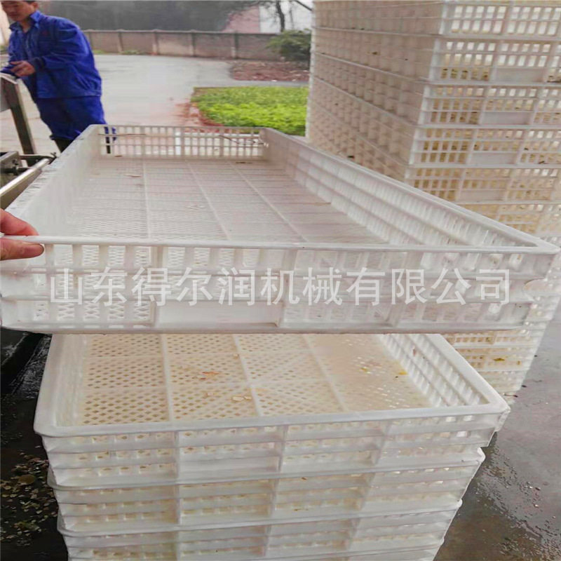 2020专业清洗筐厂家灭菌洗筐机周转筐清洗机肉食盘子清洗设备