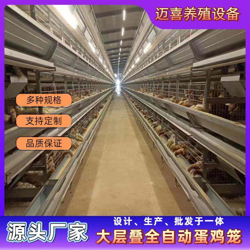 大层叠蛋鸡笼式全动鸡笼养鸡场专自LSM业养动殖自动化养鸡自喂料