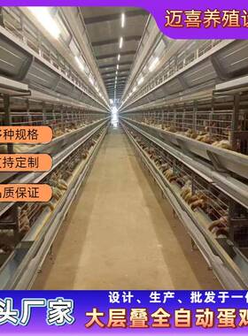 大层叠蛋鸡笼式全动鸡笼养鸡场专自LSM业养动殖自动化养鸡自喂料