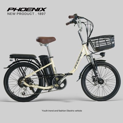 20寸可提锂电电动车电动x自行车48V400W助力自行车