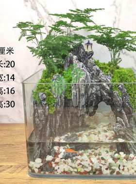 yut流水版鱼缸造景全套生态小型客厅桌面装饰水草缸真植物造景水