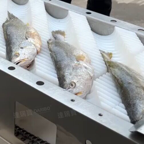 W批发鲜鱼切片机冻鱼切块切段机厂家供应鲅鱼切鱼机不锈钢材质