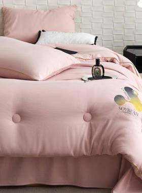 A类豆纤维被大春秋被纯冬棉加厚被保暖单双人被芯字家用四AL20249