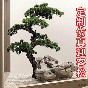 新中式植树大型迎客松罗汉室内WewchyMi摆件造景观装饰松假松树绿