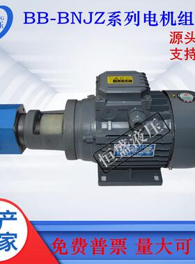 BB579-B25NJZ-1B1NB32NB40NB80B100NJZ-1立卧式齿6轮油泵电机组
