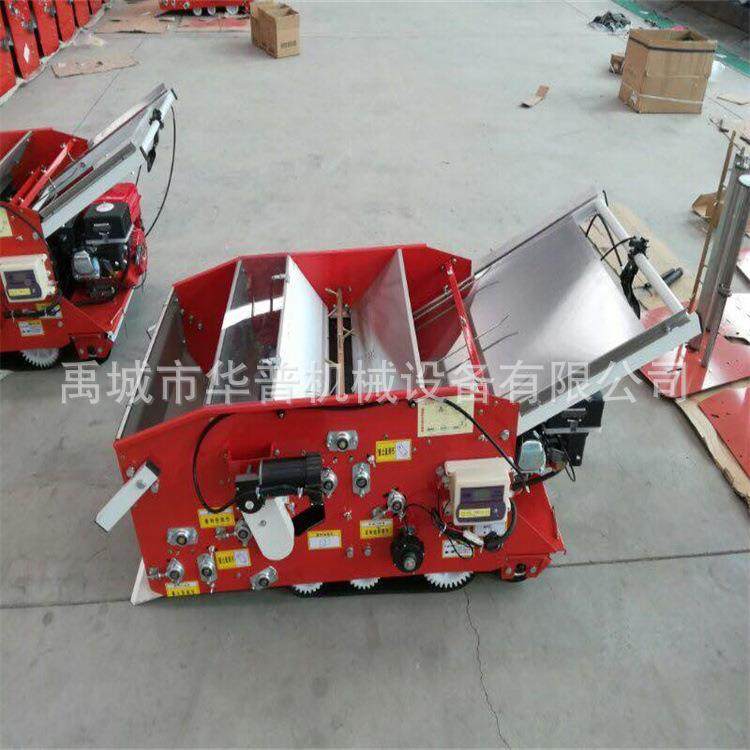 种植机自式水苗摆盘2BPJ-1机覆土摆盘育机稻水走稻育秧种植机,农机/农具/农膜,播种栽苗器/地膜机,淘宝优惠券,粉丝福利购,淘宝优惠卷