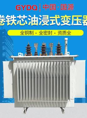 国源S11三相油浸式变压器10kv800kva电力变压器35kv1000kva变压器