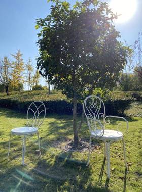 乡村铁艺做旧户OMF外式桌椅法套件白绿色花园庭院阳台色客厅圆桌s