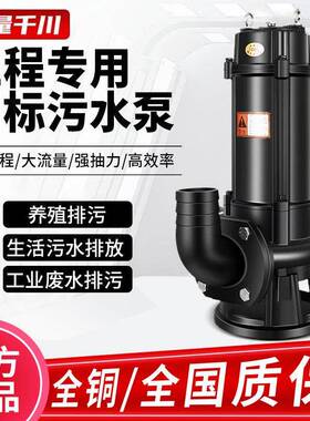 WQ系三室列水泵3THR污80v相抽粪泥浆无堵塞地下集水坑提升潜水排