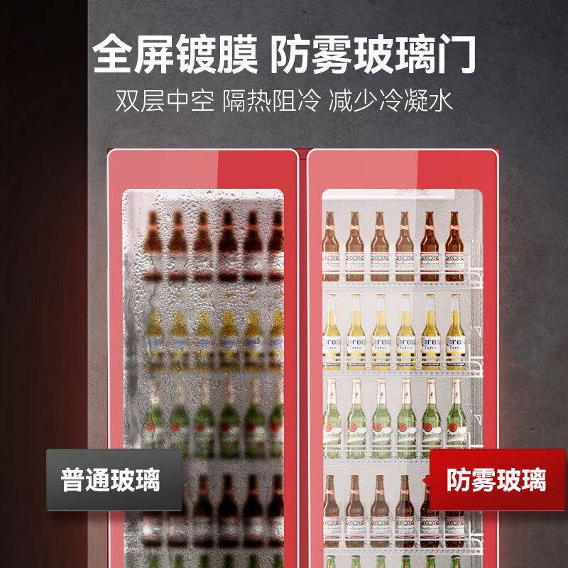 商用饮料风冷立式明门智能温0控支持陈列厂家藏直柜销商透用冷柜
