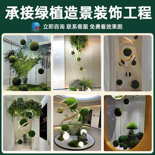 仿真植造景室内景观橱窗装饰入户玄关仿吊顶造景生假落植物绿苔藓