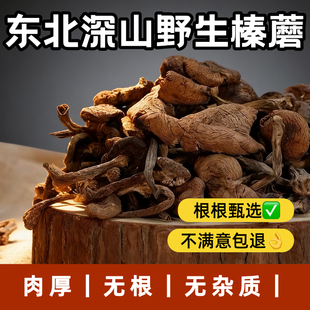 正宗榛蘑东北野生蘑菇黑龙江长白山干货小鸡炖蘑菇干榛蘑纯土特产