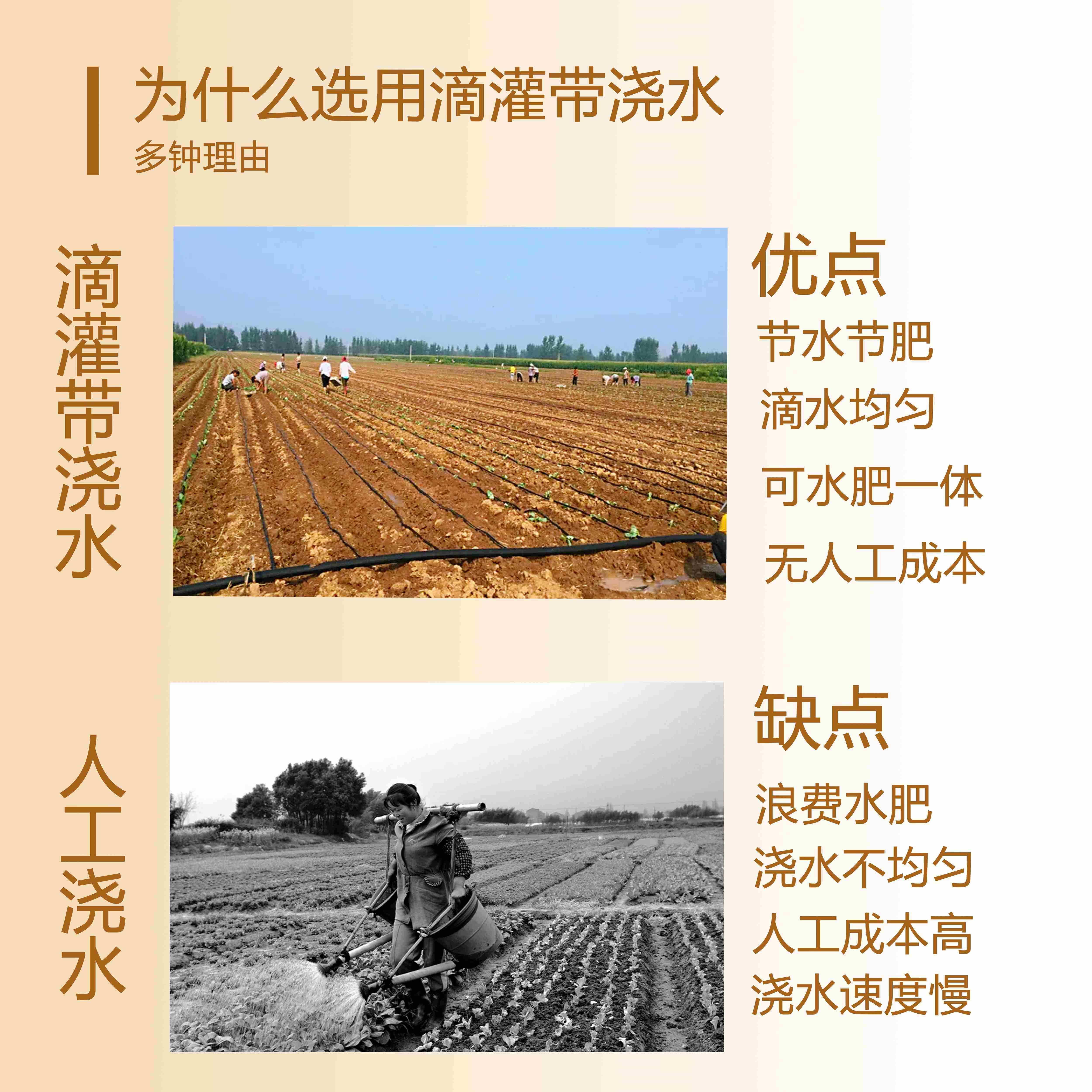 新型滴灌带16mm贴片式滴管农用滴灌管大棚蔬菜滴管带W微喷水带厂