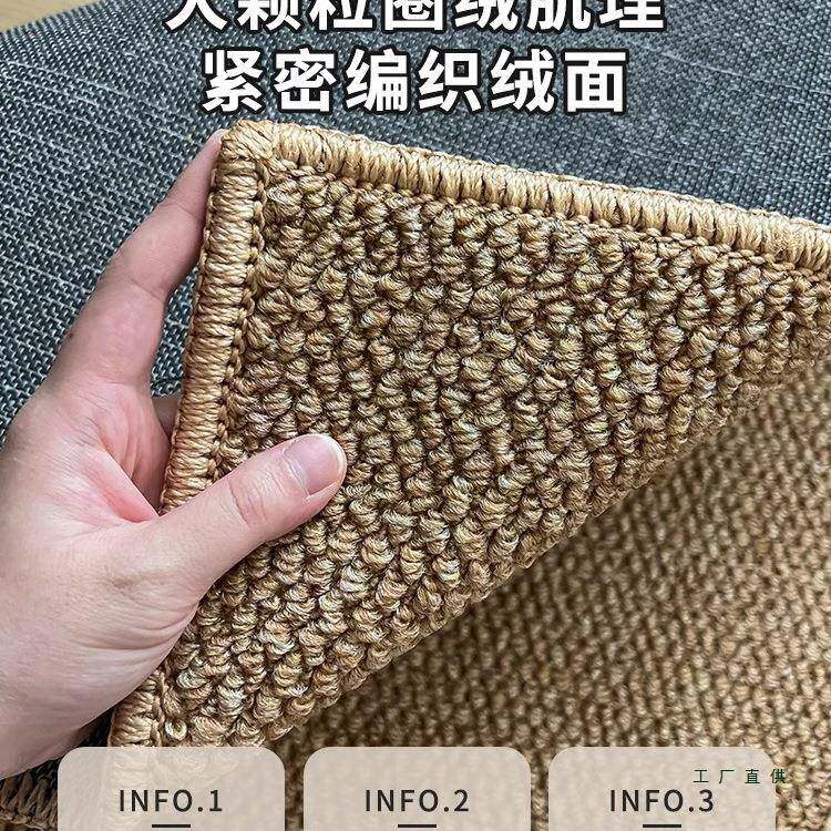 入户门地口2025门新款仿剑麻门垫进门入门玄关外地垫毯F99M9J6J脚