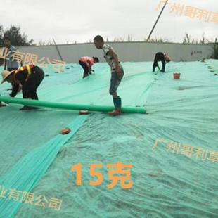 园林盖绿无化纺纺布种植用鱼塘边坡绿色草坪布土网布护OHN坡无布