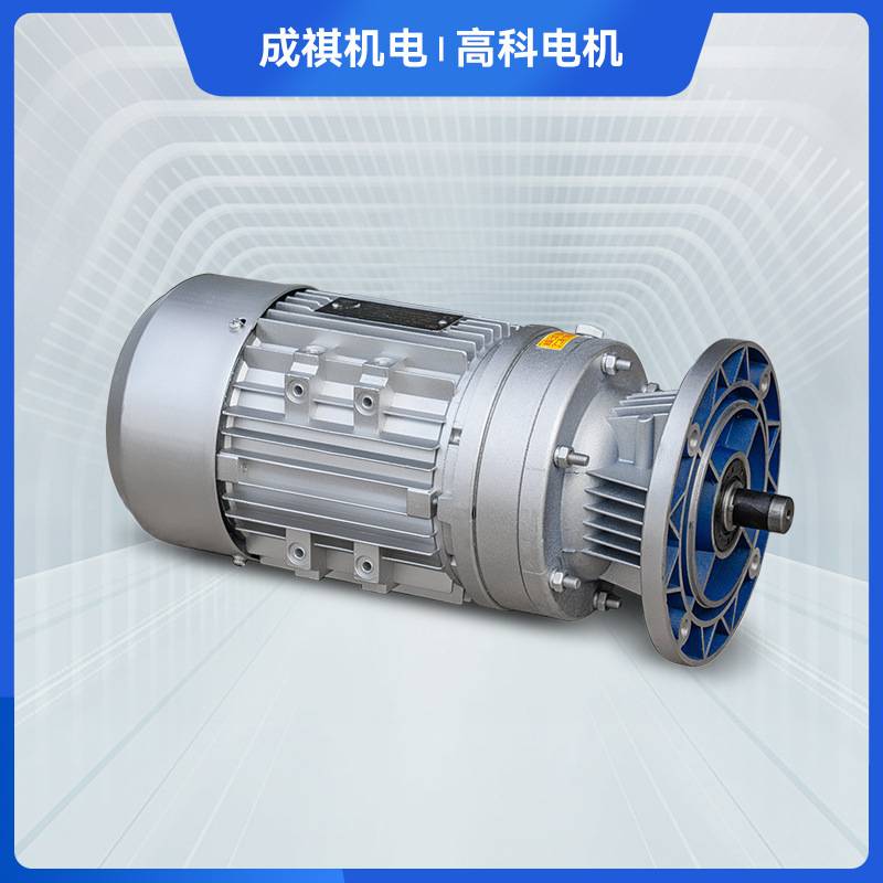 微型摆线针轮减速机 卧式立式摆针式减速器小型搅拌机厂家现货