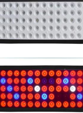 光谱W植300火龙果植物补光灯大棚多肉火61041龙果花卉生长灯LED物