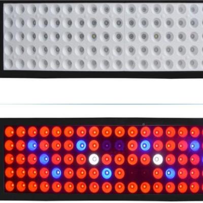 光谱W植300火龙果植物补光灯大棚多肉火61041龙果花卉生长灯LED物