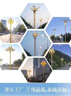 LED户外玉兰灯中华灯合6米8米灯路10米1FAG2组米市政道灯路高亮度