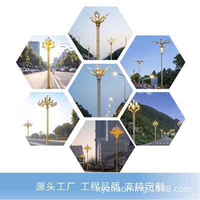 LED户外玉兰灯中华灯合6米8米灯路10米1FAG2组米市政道灯路高亮度