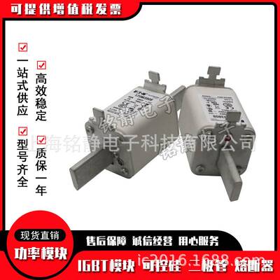 170M3537 170M3538 170M3539 170M3540 170M3541巴斯曼熔断器