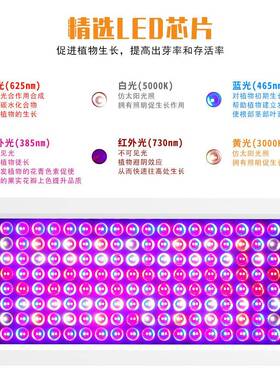 跨境热led植物灯室全光补NQN谱植物光灯多功能内销育苗种植灯生长