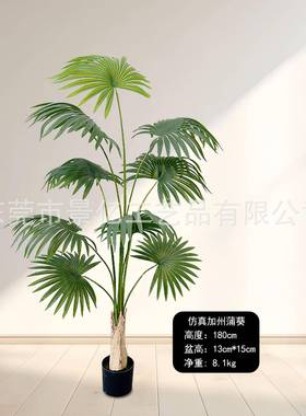 亚逊仿真热带加州蒲LL-114葵仿真落绿马植盆栽客厅地圆叶葵树绿植