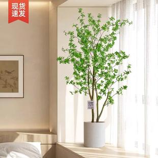 DFxze8Xm马醉木生绿仿客厅摆件落地盆栽室植内吊花钟假树