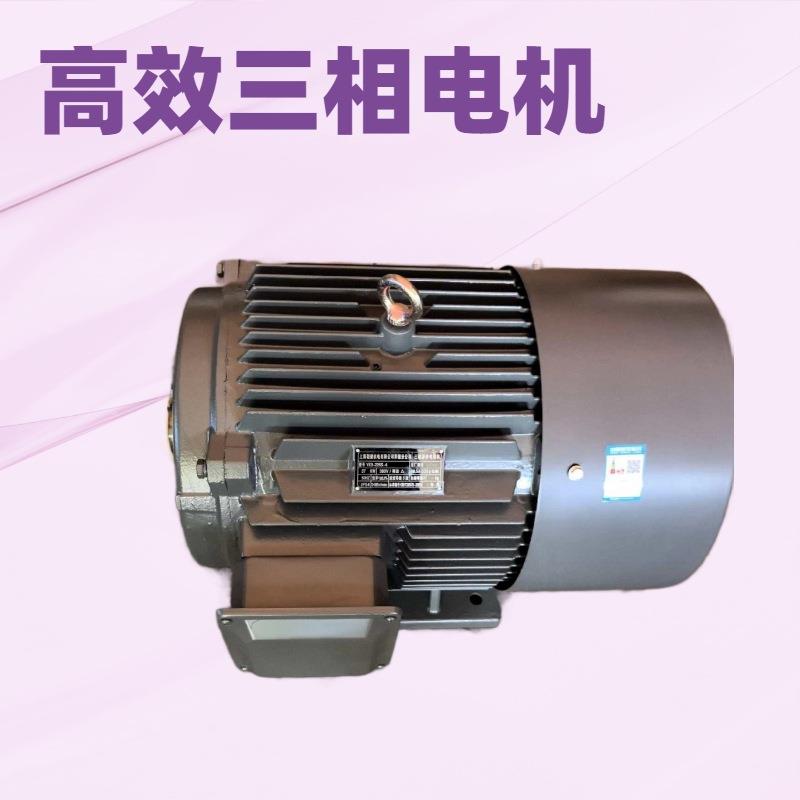 YE2YE4Y2YYE3-315L6--110W6极三相电机三相异步电动机电机