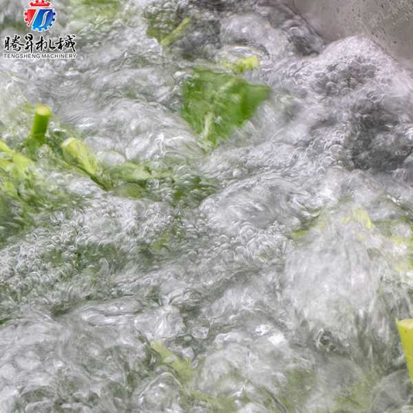 广东优质不锈钢洗果机 自动红枣清洗机 葡萄干清洗机 清洗机价格