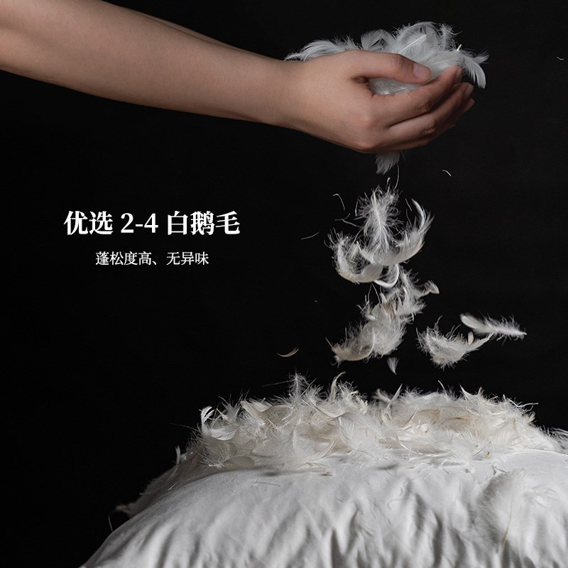 全棉白鹅毛抱枕芯酒店沙发羽绒内胆羽丝棉靠垫靠枕芯咕臣芯45 50