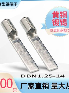 DBN1.25-14片形裸端头冷压接C线端子铜鼻子线耳插针插片型黄铜接