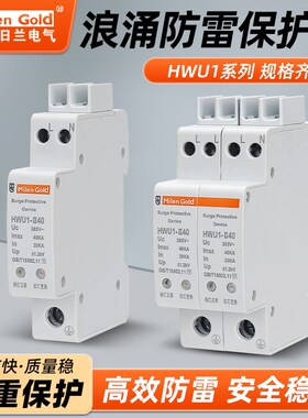 新型智能防雷保护器一体小体积2p4p20KA40KA家装带指示浪涌保护器